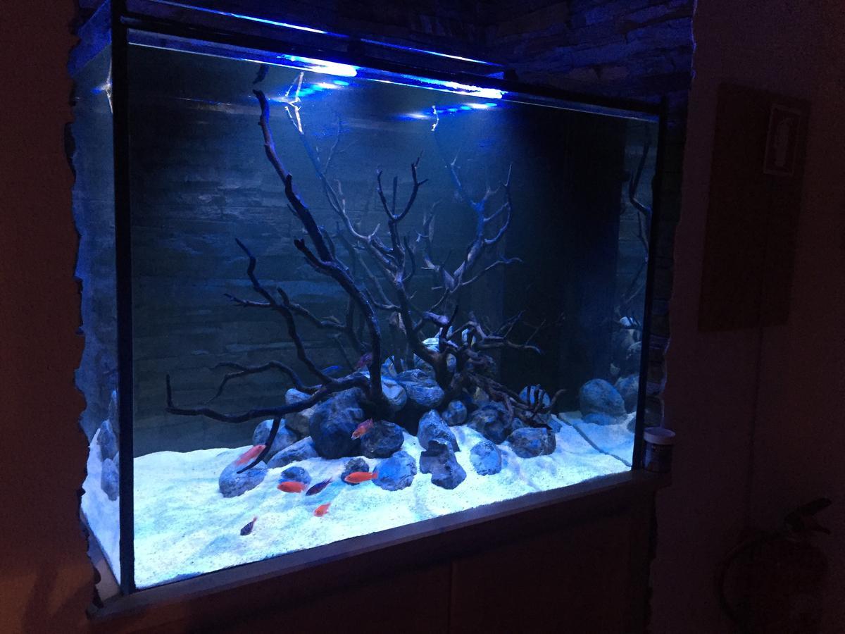 세심브라 Aquarium House 아파트 외부 사진